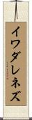 イワダレネズ Scroll