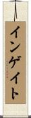 インゲイト Scroll