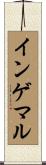 インゲマル Scroll
