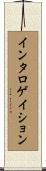 インタロゲイション Scroll