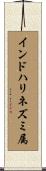 インドハリネズミ属 Scroll