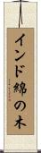 インド綿の木 Scroll