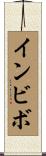 インビボ Scroll