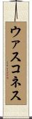 ウァスコネス Scroll