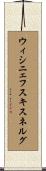ウィシニェフスキスネルグ Scroll