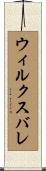ウィルクスバレ Scroll