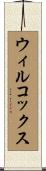 Wilcox Scroll