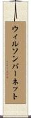 ウィルソンバーネット Scroll