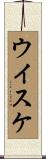 ウイスケ Scroll