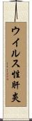 ウイルス性肝炎 Scroll
