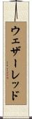 ウェザーレッド Scroll