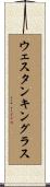 ウェスタンキングラス Scroll