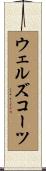 ウェルズコーツ Scroll