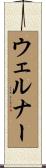 ウェルナー Scroll