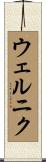 ウェルニク Scroll
