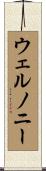 Welnonie Scroll