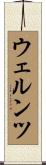 ウェルンツ Scroll