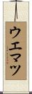 ウエマツ Scroll