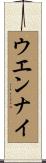 ウエンナイ Scroll