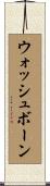 ウォッシュボーン Scroll
