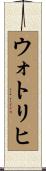 ウォトリヒ Scroll