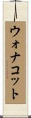 ウォナコット Scroll