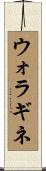 ウォラギネ Scroll