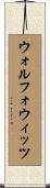 ウォルフォウィッツ Scroll