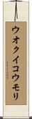 ウオクイコウモリ Scroll