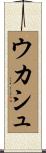 ウカシュ Scroll