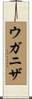 ウガニザ Scroll