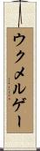 ウクメルゲー Scroll