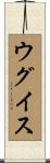 ウグイス Scroll