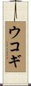 ウコギ Scroll
