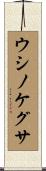 ウシノケグサ Scroll