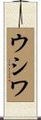 ウシワ Scroll