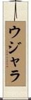 Ujala Scroll