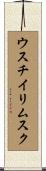 ウスチイリムスク Scroll