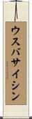 ウスバサイシン Scroll