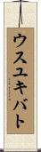 ウスユキバト Scroll