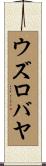 ウズロバヤ Scroll