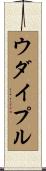 ウダイプル Scroll