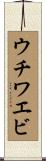 ウチワエビ Scroll
