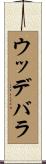ウッデバラ Scroll