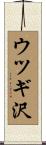 ウツギ沢 Scroll
