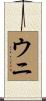 ウニ Scroll