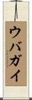 ウバガイ Scroll