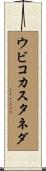 ウビコカスタネダ Scroll