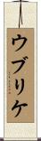 ウブリケ Scroll
