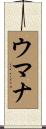 Umana Scroll